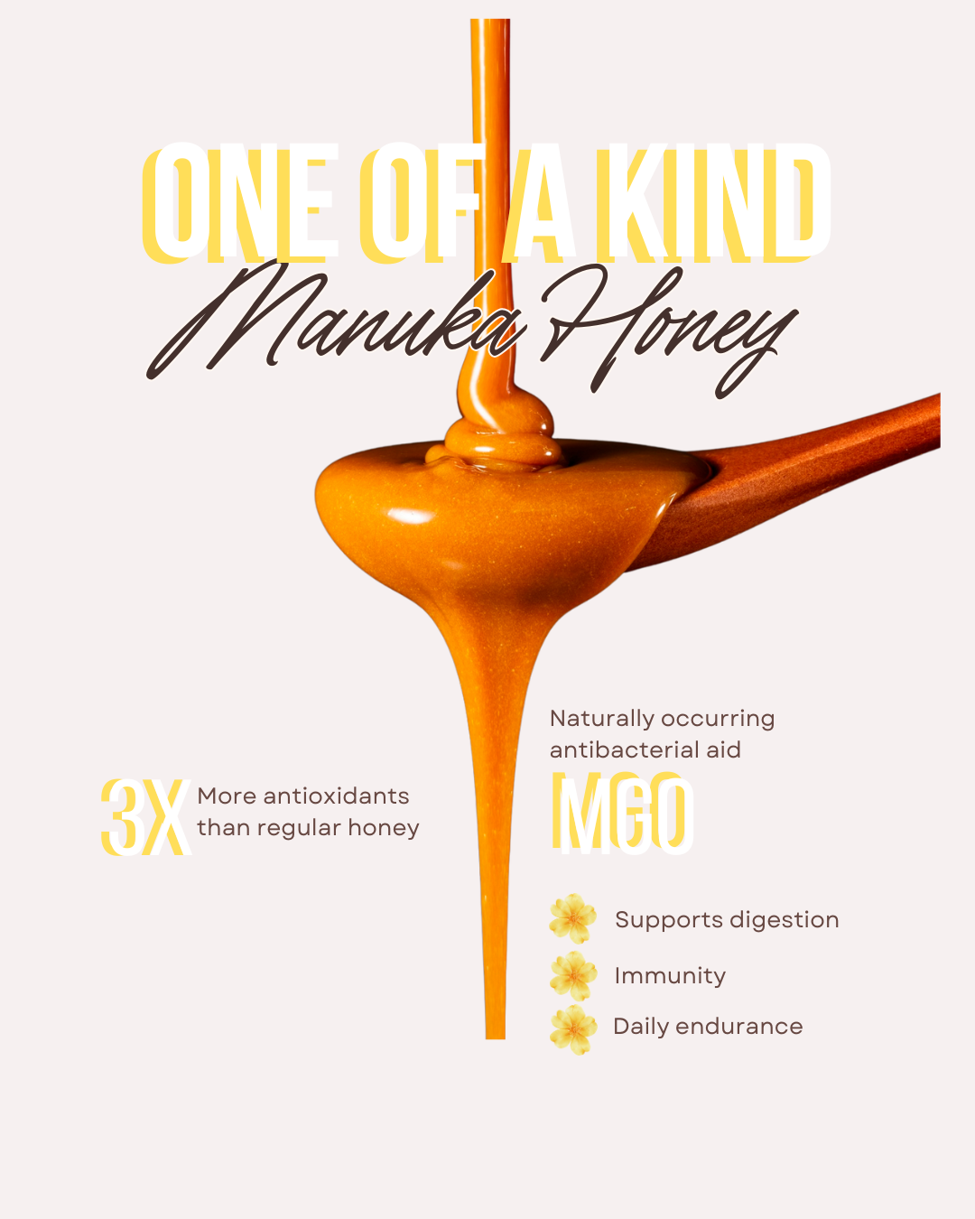 Manuka Honey Stick MGO 550+ 30pk