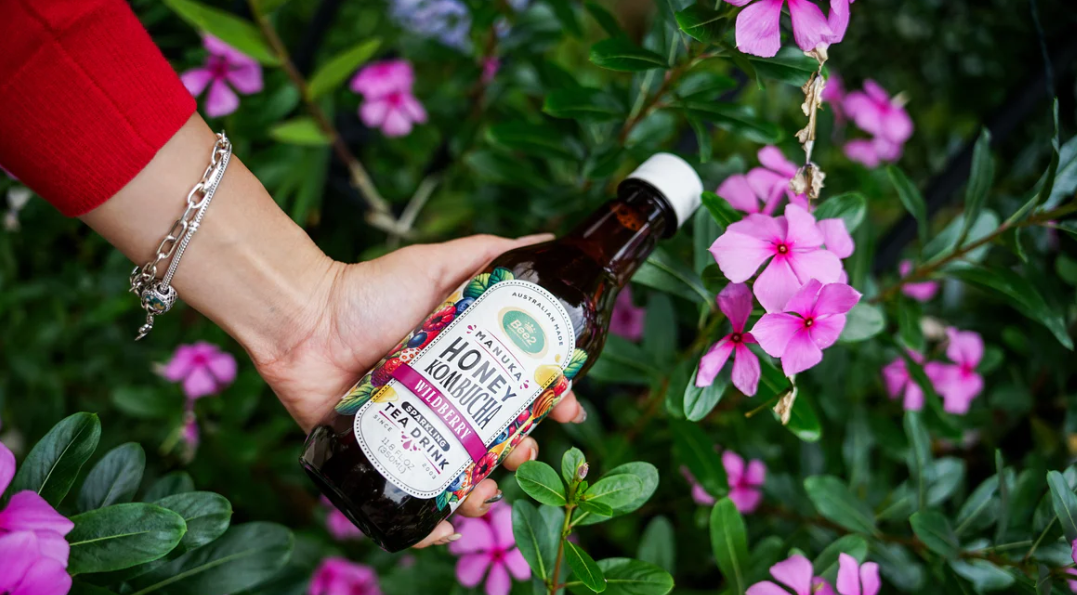 Kombucha with Manuka Honey - 6pk
